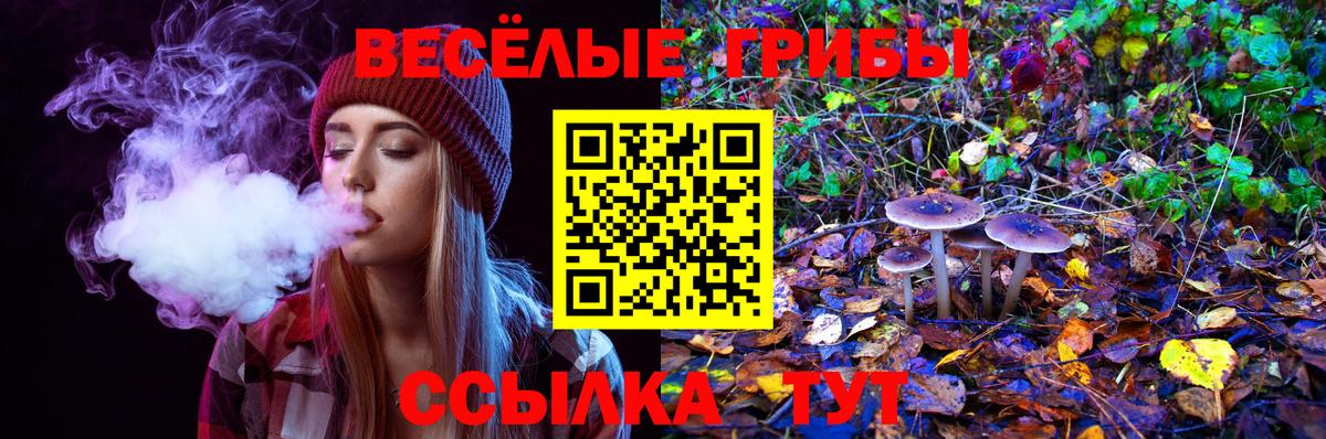 Анжеро-Судженск  Галлюциногенные грибы Psilocybe  Вход с VPN 